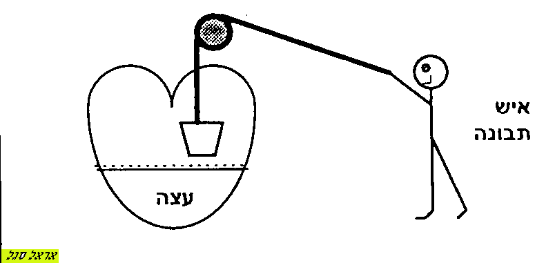 התמונה מ: אראל